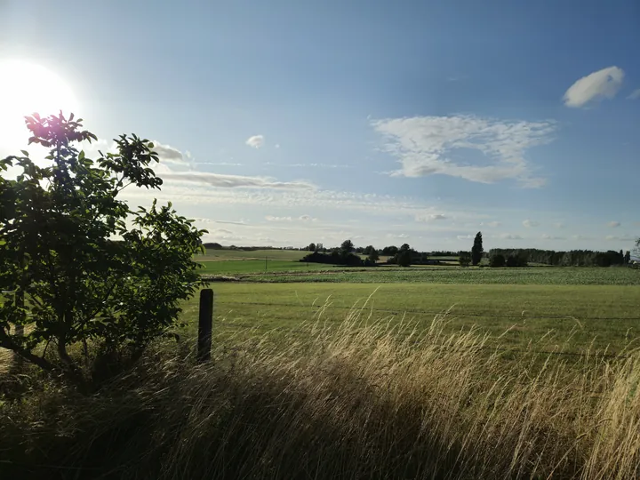 Bellegem, West-Vlaanderen (België)